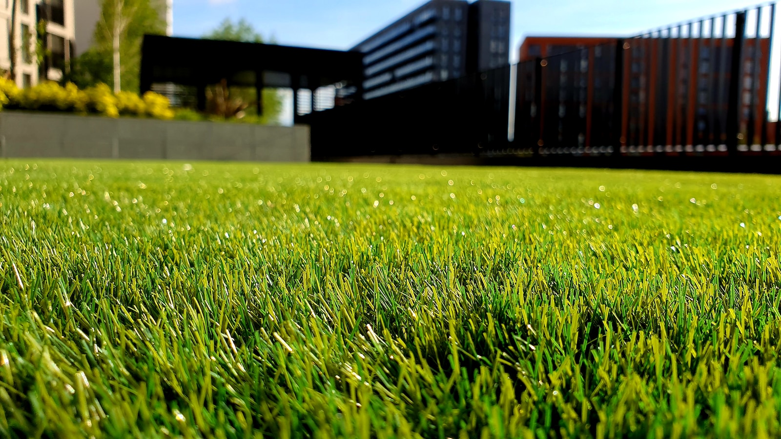 Yard Care green grass field
